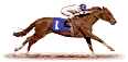 animated-horse-race-jockey